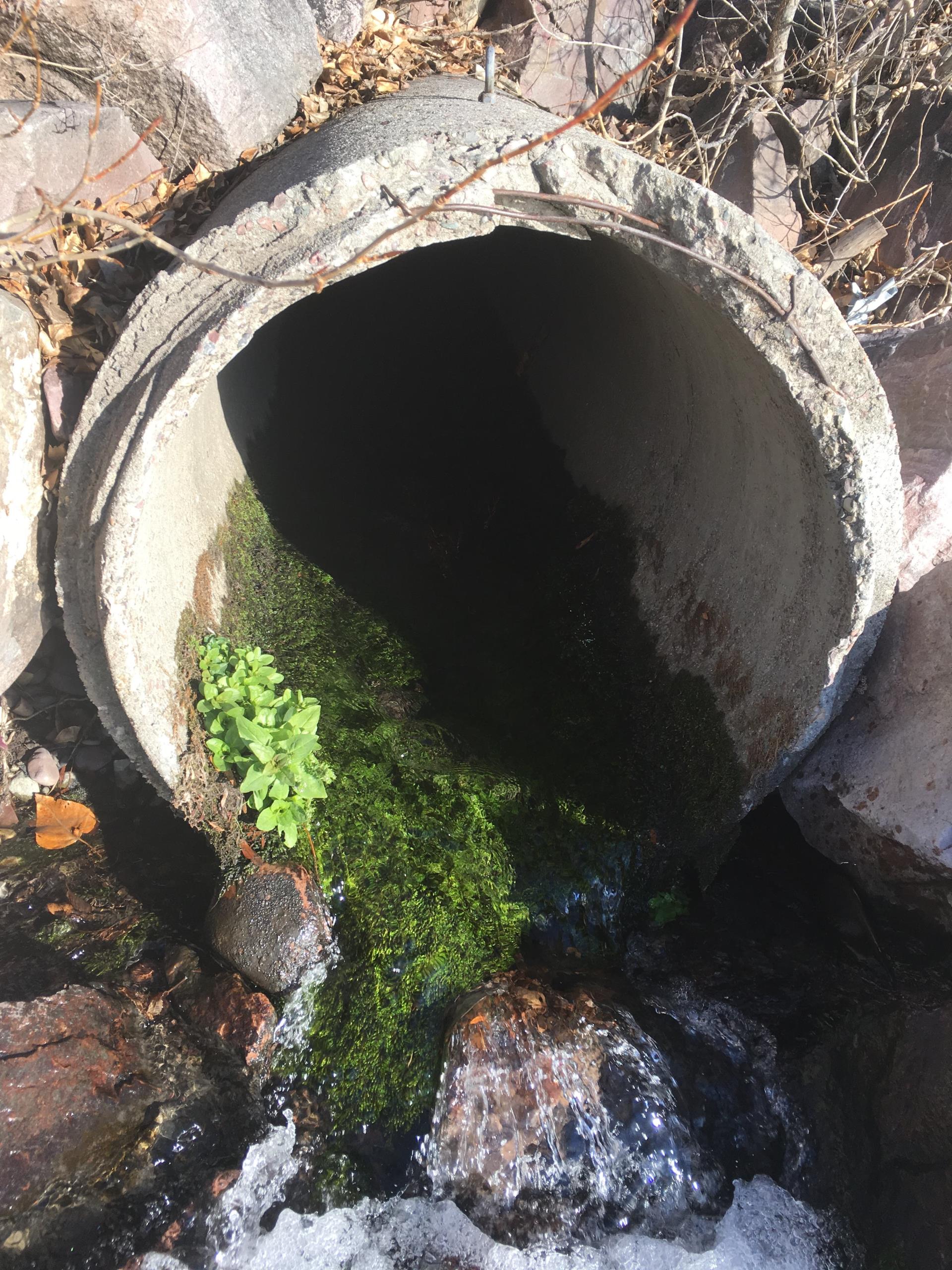 Brenan's Wave outfall