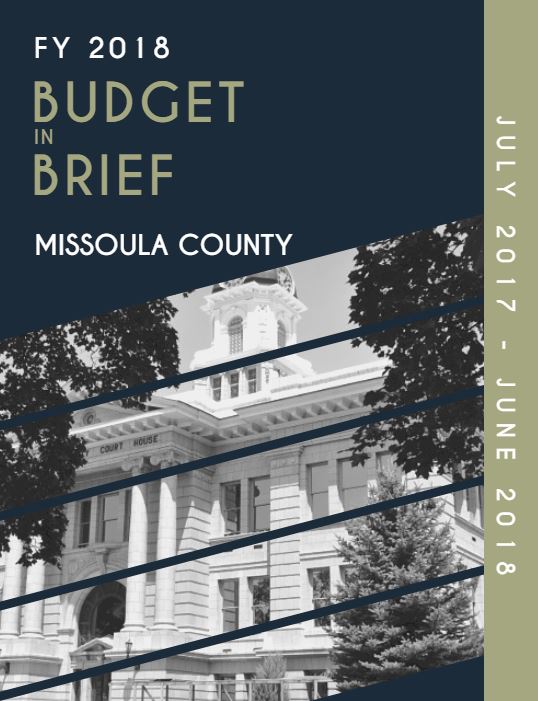 Budget in brief screenshot