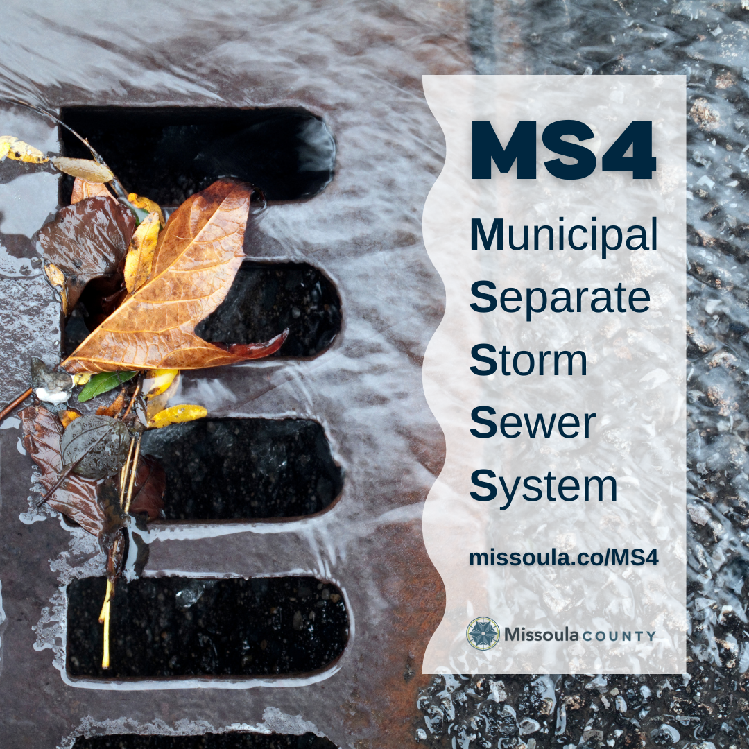 MS4