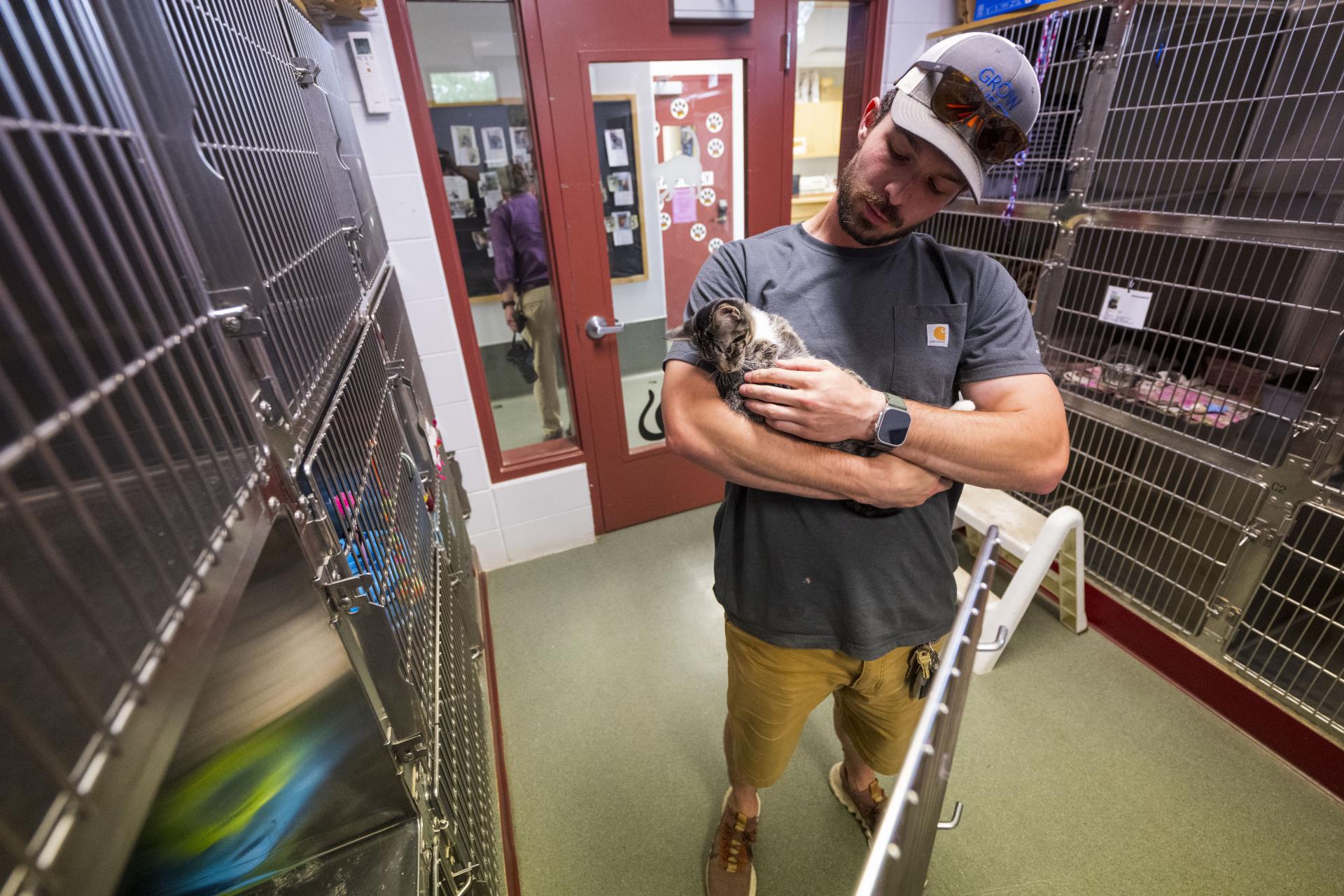Animal control staffer holding a cat in the shelter.