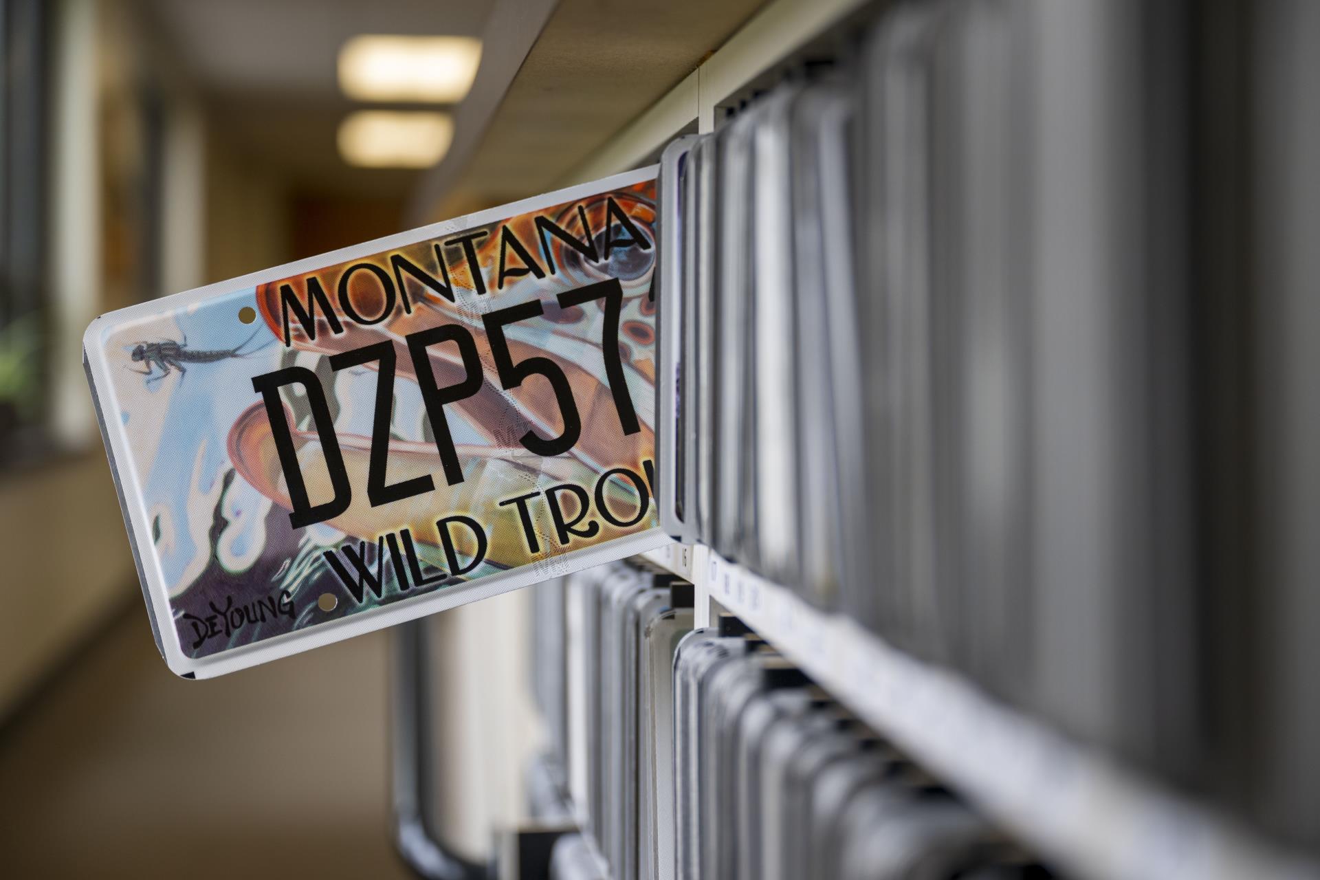 Close up of a license plate in the Clerk & Recorder's Office