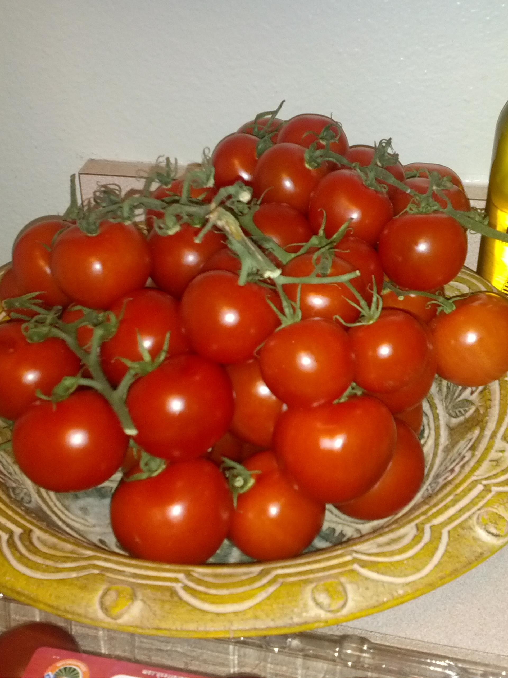 tomatoes